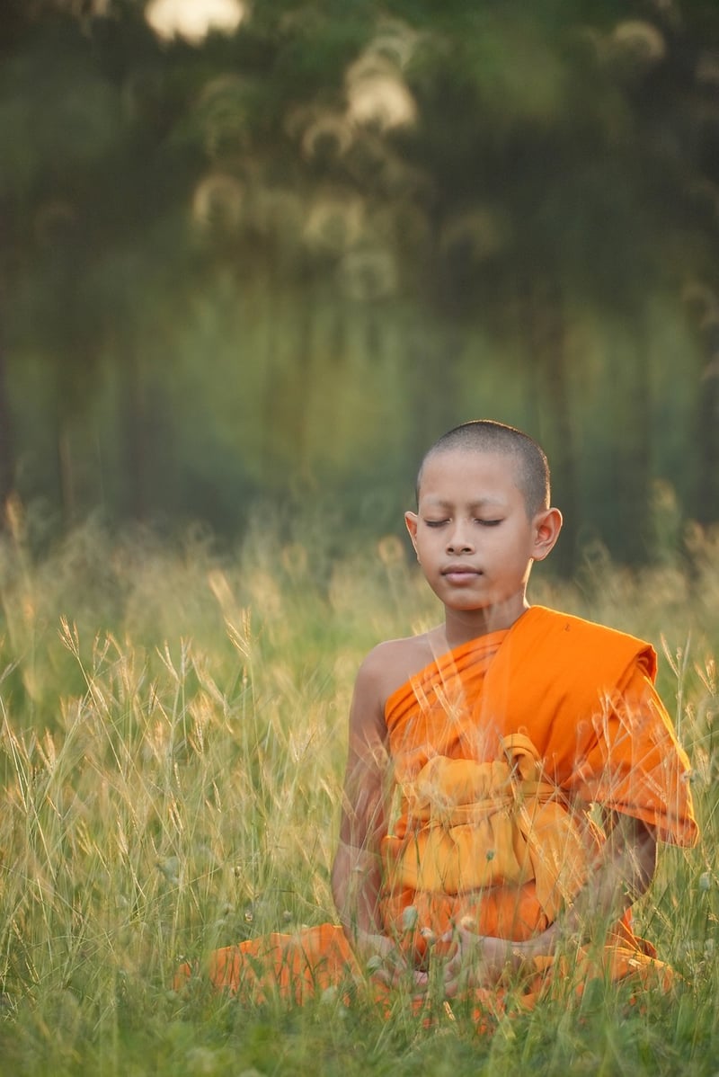 Outdoor Meditation